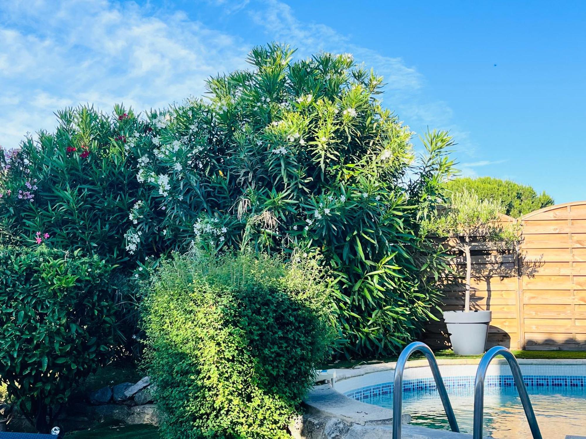 Piscine Cosy, 3 Chambres, 3 Sdb, Havre De Paix A 10 Min Des Plages Mauguio Eksteriør billede